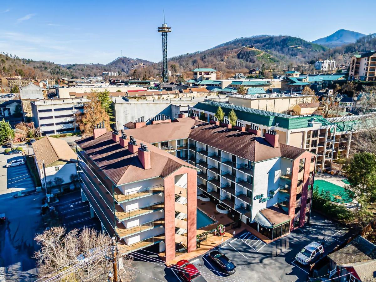 Apartment Lovely W/ Indoor Pool *only Steps To Parkway